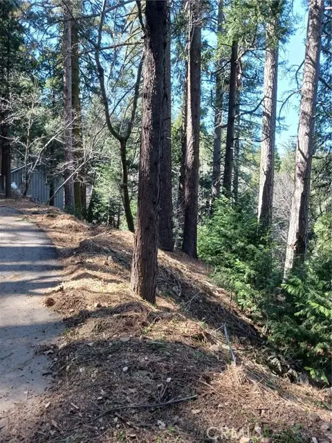 35 Spring Drive, Cedarpines Park, CA 92322 - #2