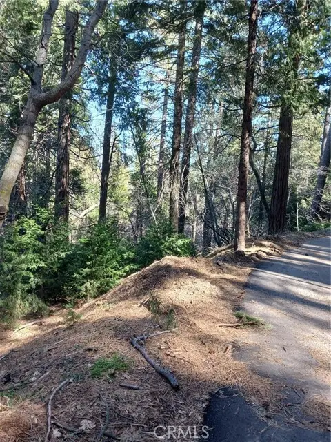35 Spring Drive, Cedarpines Park, CA 92322 - #3