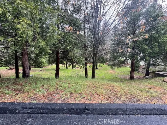 27525 Meadow Bay Drive, Lake Arrowhead, CA 92352 - #1