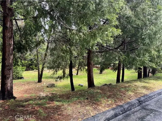 27525 Meadow Bay Drive, Lake Arrowhead, CA 92352 - #3