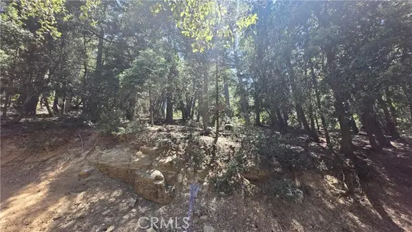 0 Mojave River Road, Cedarpines Park, CA 92322