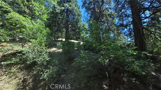 22494 Mojave River Road, Cedarpines Park, CA 92322 - #1