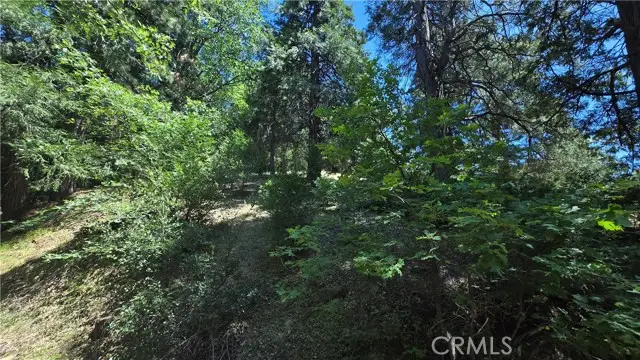 22494 Mojave River Road, Cedarpines Park, CA 92322 - #2