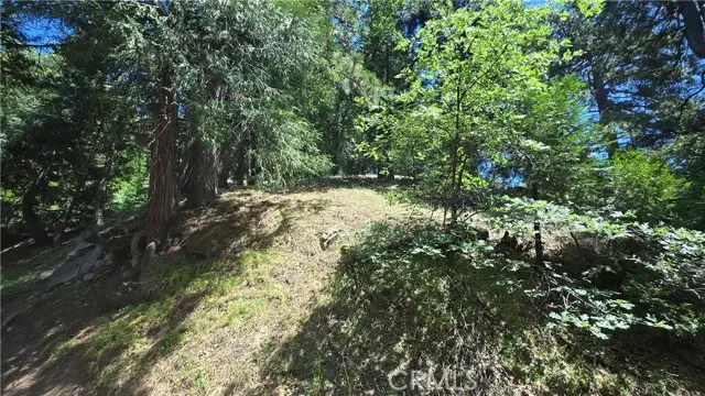 22494 Mojave River Road, Cedarpines Park, CA 92322 - #3