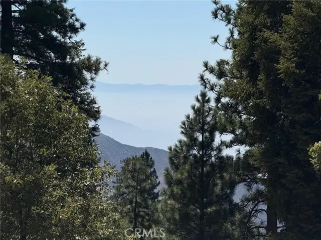 10 Winding Way, Running Springs, CA 92382 - #2