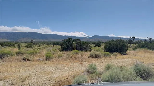 31 Hwy 138, Llano, CA 93544 - #3