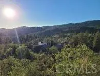 1894 Arrow Bear Park, Running Springs, CA 92382 - #1