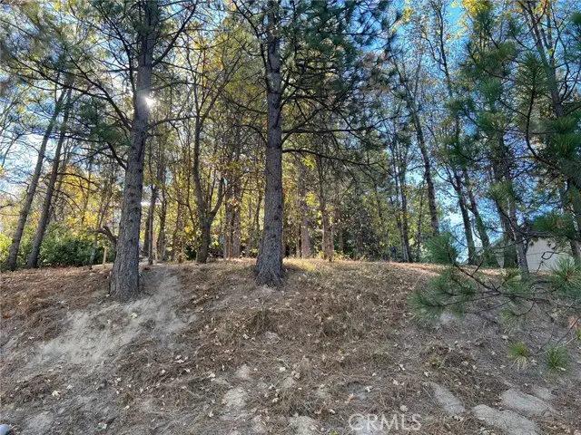 82 Pixie, Running Springs, CA 92382 - #1
