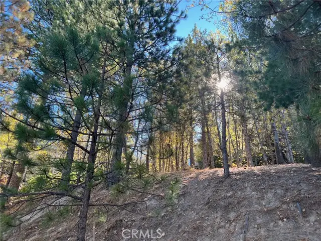 82 Pixie, Running Springs, CA 92382 - #2