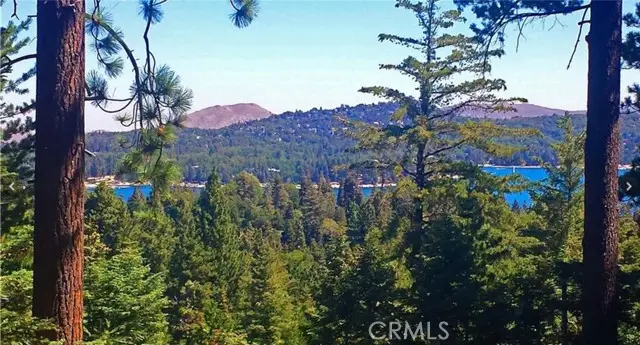 525 Ca-173, Lake Arrowhead, CA 92352 - #1