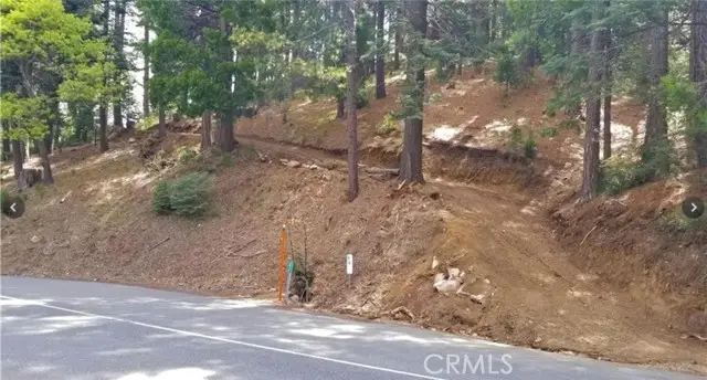 525 Ca-173, Lake Arrowhead, CA 92352 - #3