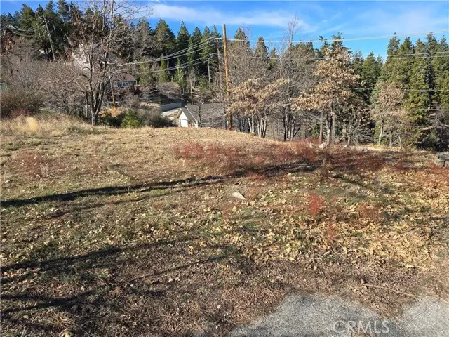 2350 deep creek, Running Springs, CA 92382 - #1