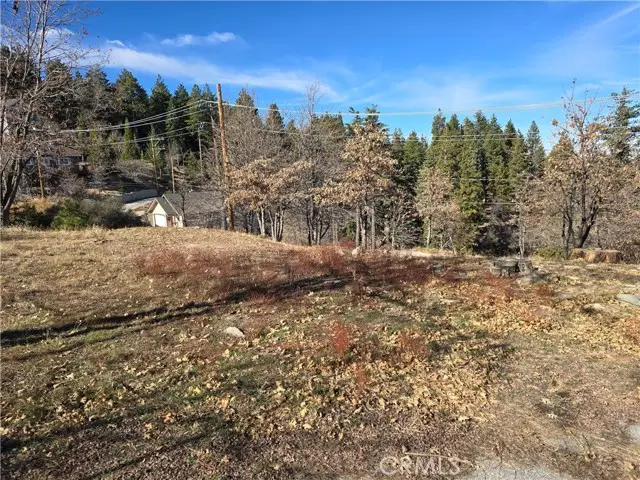 2350 deep creek, Running Springs, CA 92382 - #2