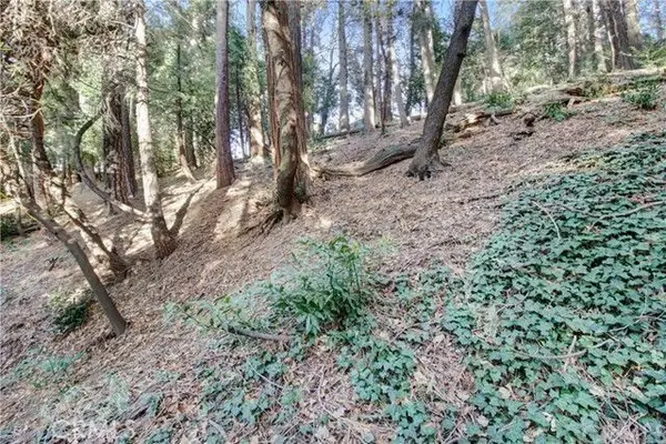 2661 Scenic, Crestline, CA 92325