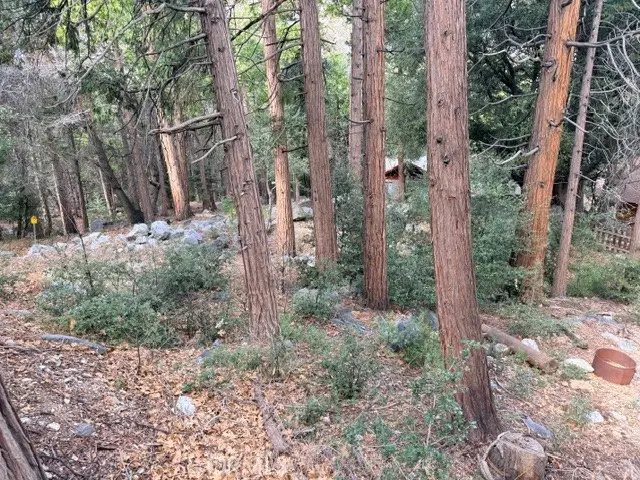 40904 Spruce, Forest Falls, CA 92339 - #1