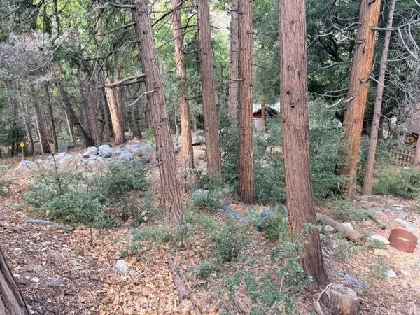 40904 Spruce, Forest Falls, CA 92339