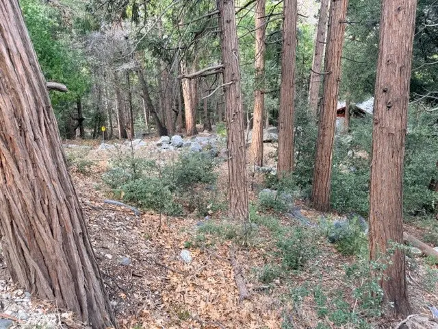 40904 Spruce, Forest Falls, CA 92339 - #3
