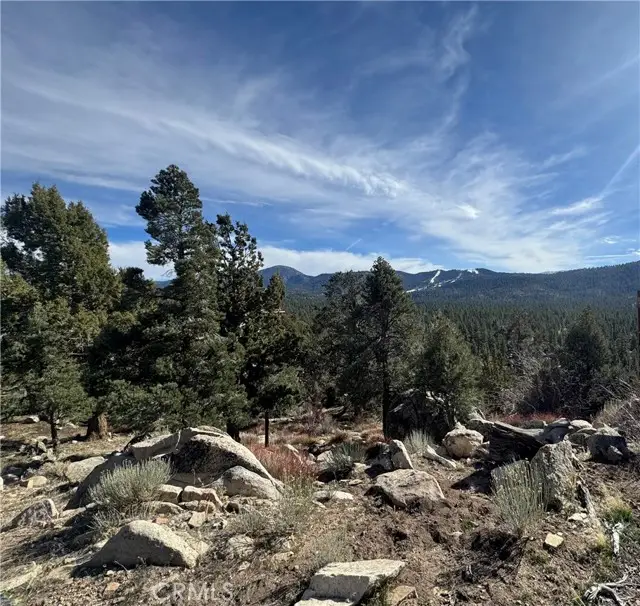 42535 Pegasus Way, Big Bear Lake, CA 92315 - #1