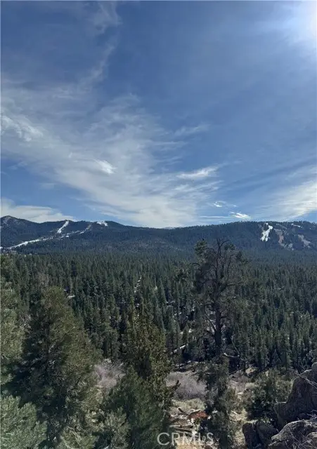 42535 Pegasus Way, Big Bear Lake, CA 92315 - #2