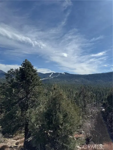42535 Pegasus Way, Big Bear Lake, CA 92315 - #3