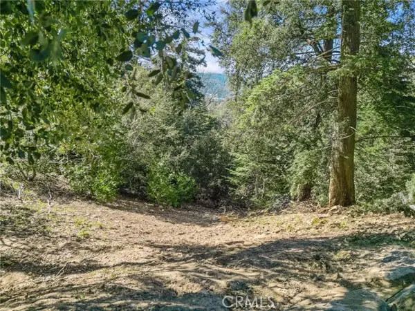 0 Chateau, Crestline, CA 92325