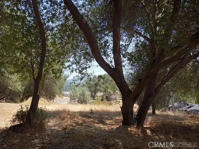 0 Live Oak Drive, Oakhurst, CA 93644 - #1