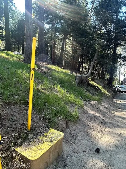0 Forest Vw, Arrowhead, Twin Peaks, CA 92391