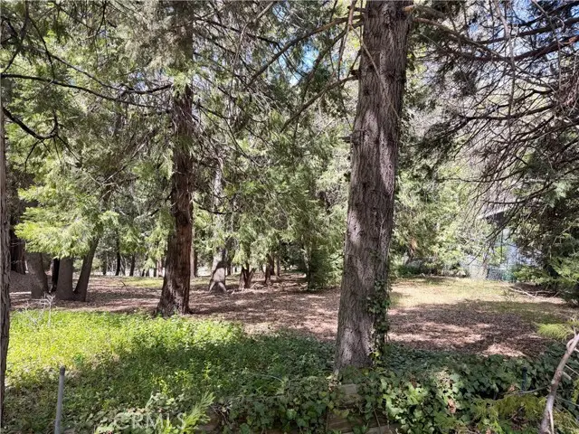 0 Cumberland, Lake Arrowhead, CA 92352 - #1