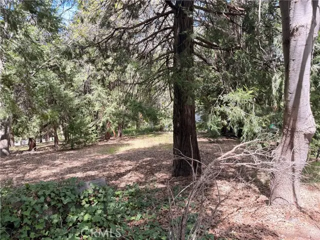0 Cumberland, Lake Arrowhead, CA 92352 - #2