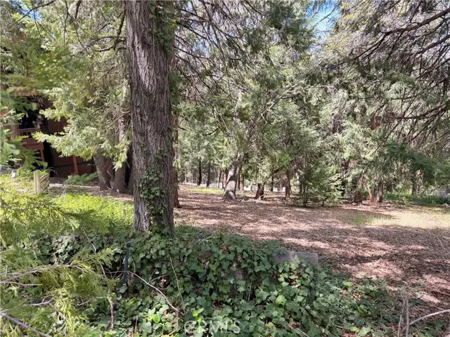 0 Cumberland, Lake Arrowhead, CA 92352 - #3