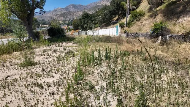 1369 Loma Alta, Altadena, CA 91001 - #3