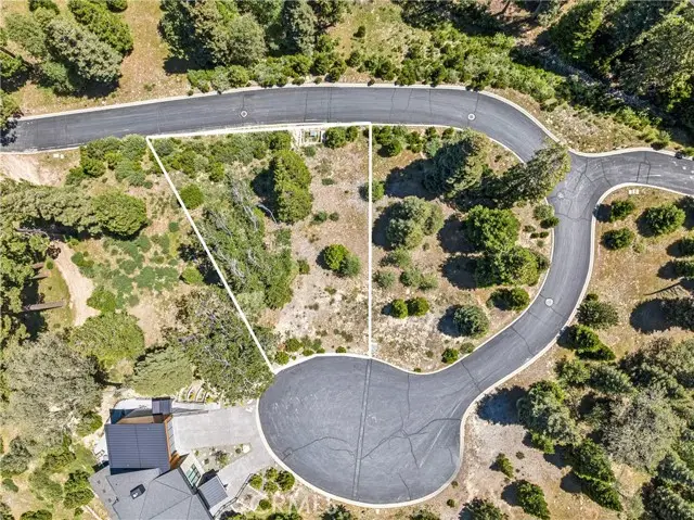 280 Ponderosa Peak, Lake Arrowhead, CA 92352 - #1