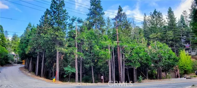 0 Grass Valley, Lake Arrowhead, CA 92352 - #1