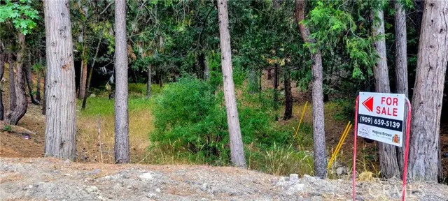 0 Grass Valley, Lake Arrowhead, CA 92352 - #2