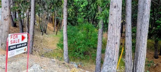 0 Grass Valley, Lake Arrowhead, CA 92352 - #3