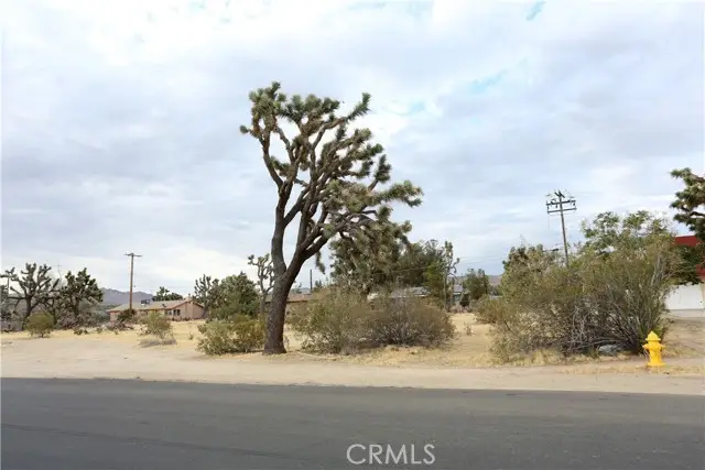 0 Aviation, Joshua Tree, CA 92252 - #3