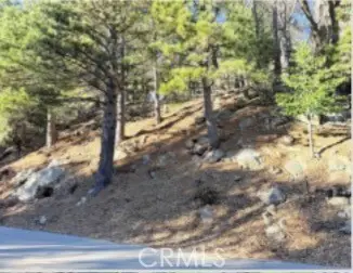 0 Thunderbird, Lake Arrowhead, CA 92352 - #2