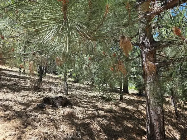 28276 Arbon, Lake Arrowhead, CA 92352