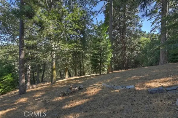 0 Pine, Cedarpines Park, CA 92322