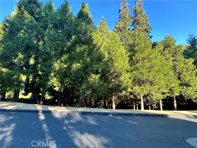 28980 White Dove Lane, Lake Arrowhead, CA 92352 - #1