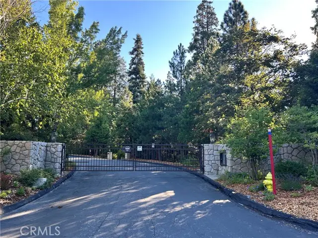 28980 White Dove Lane, Lake Arrowhead, CA 92352 - #2