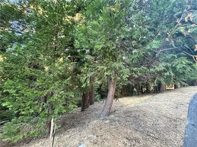 28980 White Dove Lane, Lake Arrowhead, CA 92352 - #3