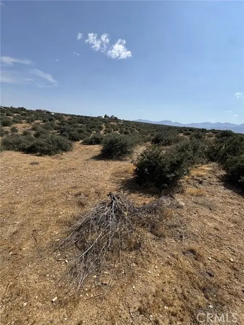 0 Mesquite, Phelan, CA 92371 - #3