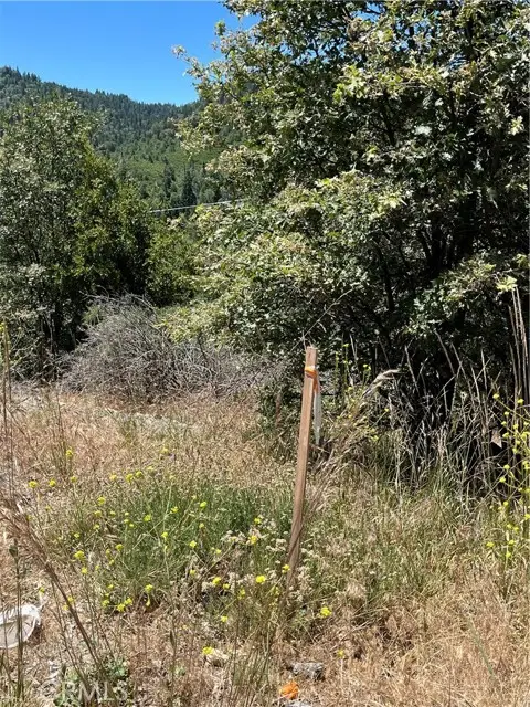 0 Balsam Way, Lake Arrowhead, CA 92321 - #3