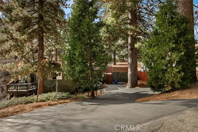 30789 All View, Running Springs, CA 92382 - #3
