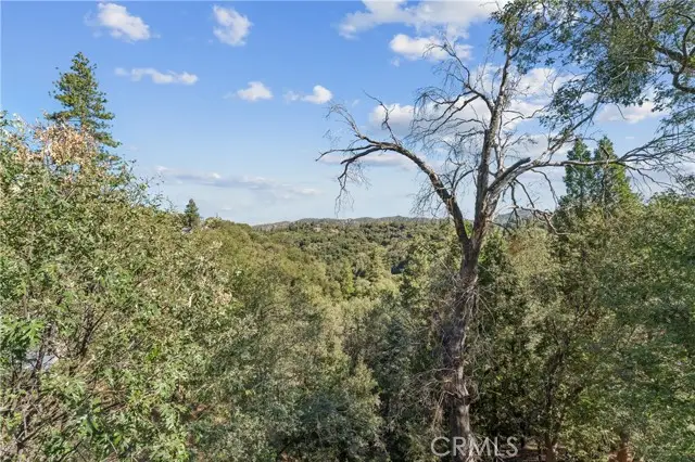 24798 Edelweiss, Crestline, CA 92325 - #3