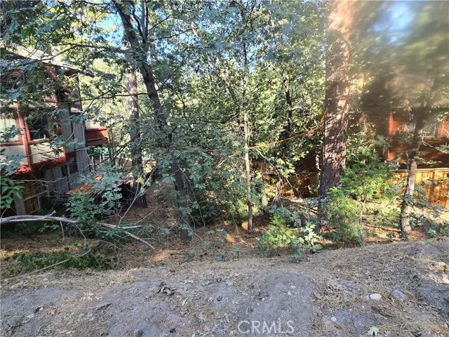 0 Secret Drive, Running Springs, CA 92382 - #2