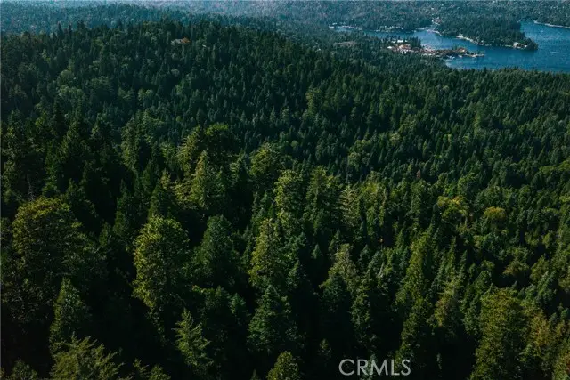 0 Cumberland, Skyforest, CA 92385 - #3