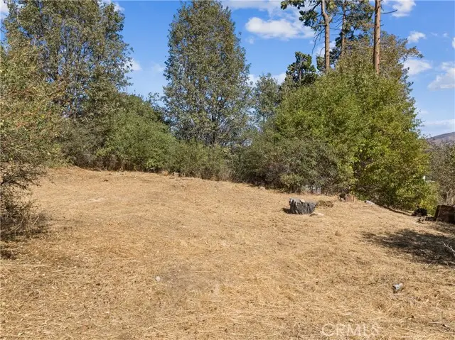 289 Glen Avon Drive, Cedar Glen, CA 92321 - #2