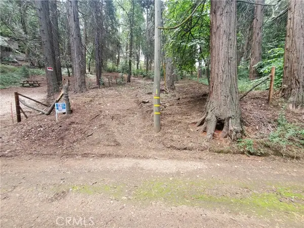 47 El Valle, Cedarpines Park, CA 92322